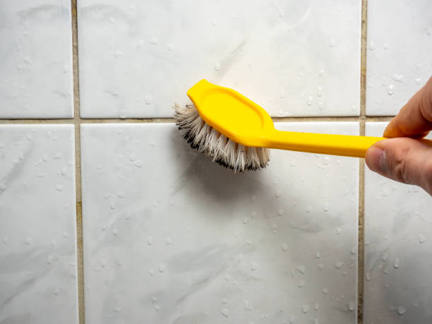 Best Best Mold Removal Companies  in Highlandville, MO