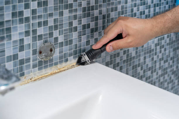 Best Mold Testing  in Highlandville, MO